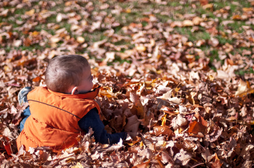 孩子在落叶中玩耍