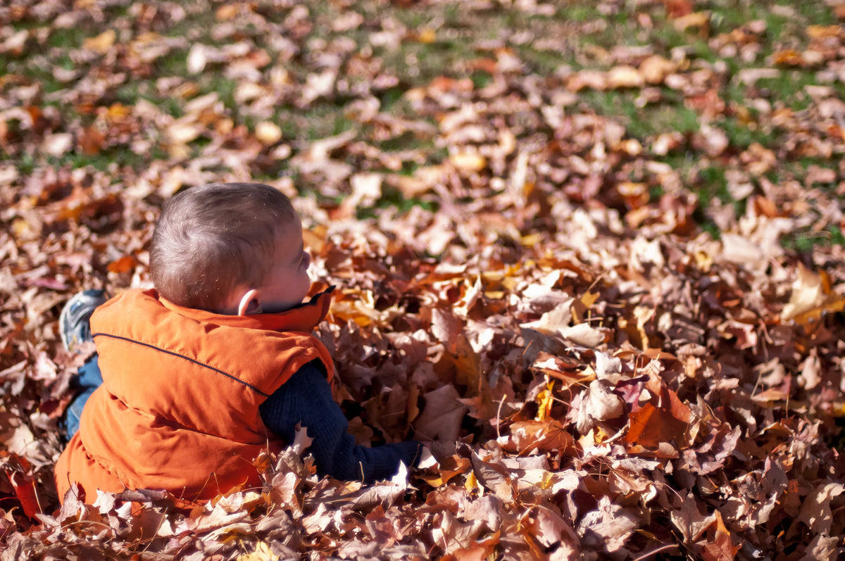 child playing in fall leaves
