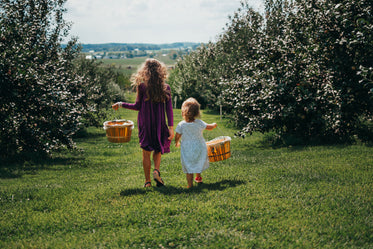 children picking fruit