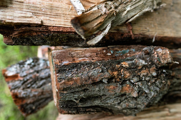 chopped wood pile close up