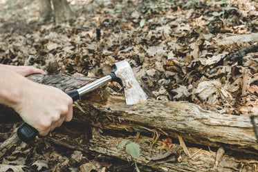 chopping wood in forest