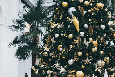 High Res Christmas And Palm Trees Picture — Free Images