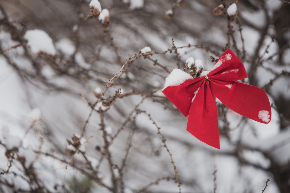 christmas bow decorating bush