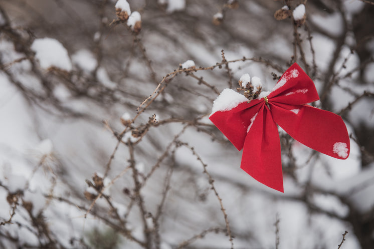 Christmas Bow Decorating Bush