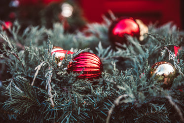 Free Christmas Decorations On Greenery Photo — High Res Pictures