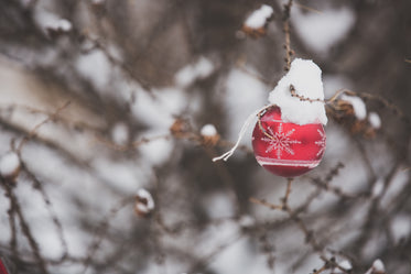 christmas ornament outdoors