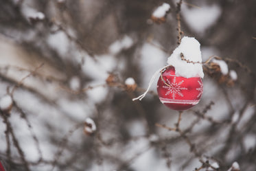 Picture of Christmas Ornament Outdoors — Free Stock Photo