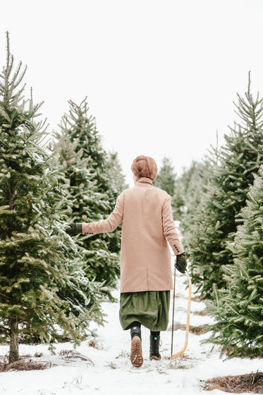 christmas tree selecting