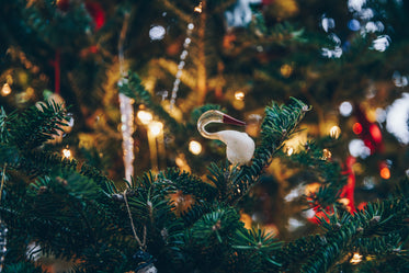 christmas tree with lights and ornaments