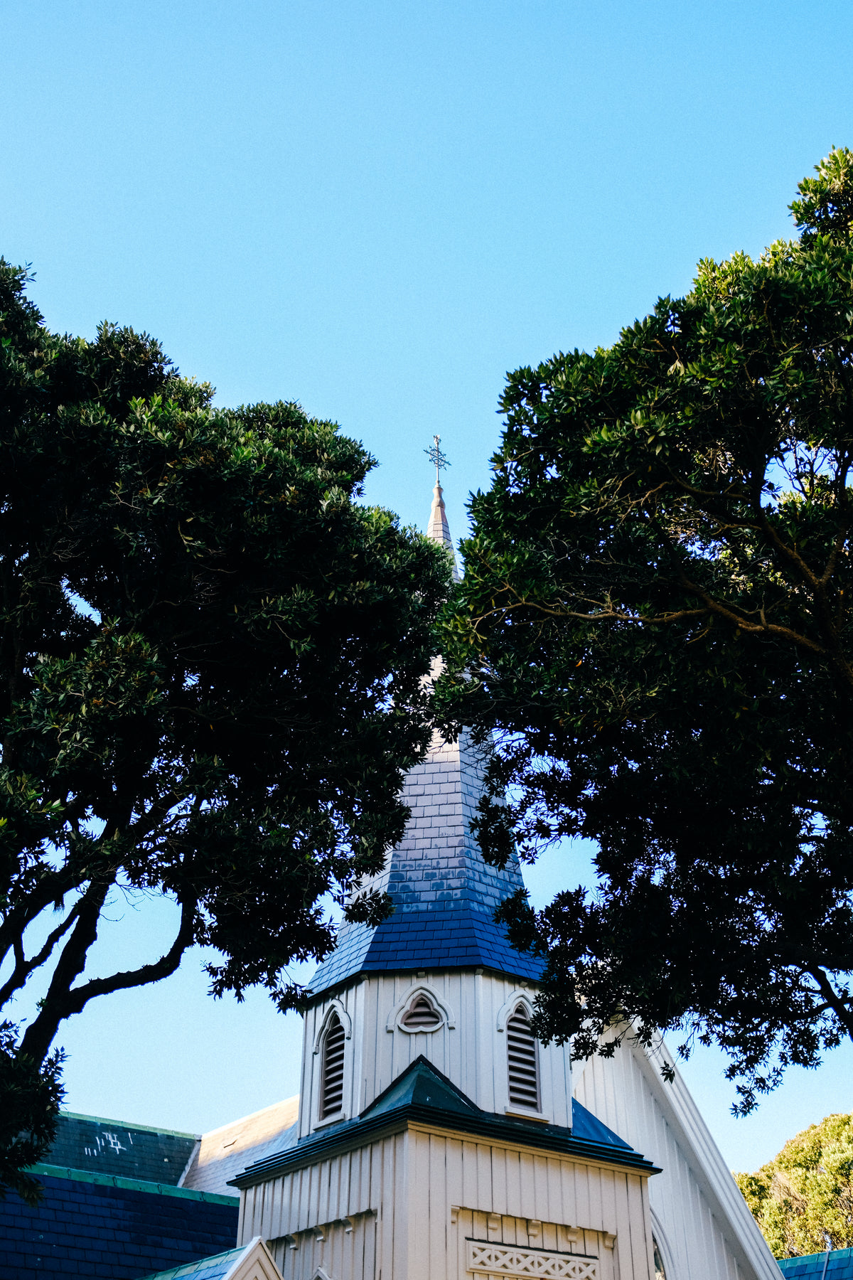church spire between two trees