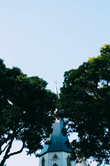 church steeple peaks through trees