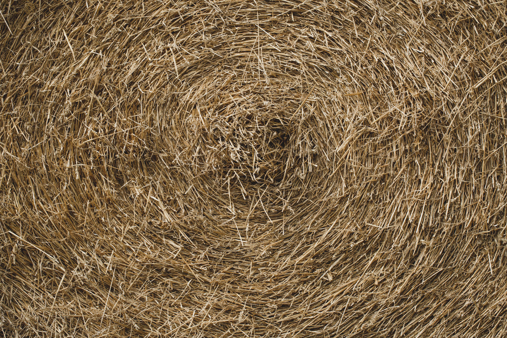 circular hay bail texture