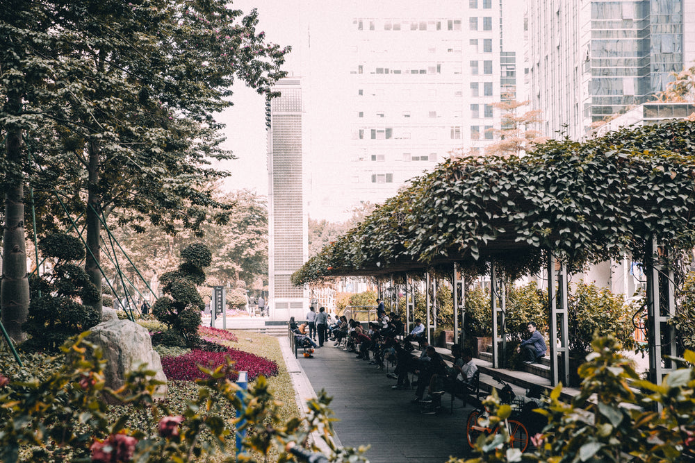 city break under trees