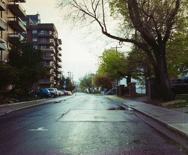 city neighborhood street at dusk