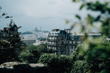 city skyline view with green trees in foreground