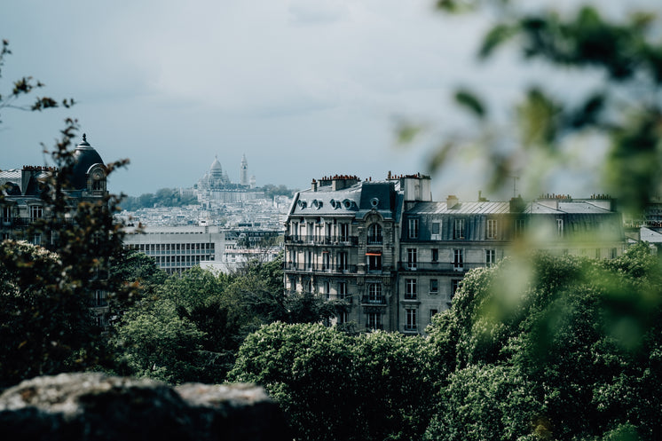 City Skyline View With Green Trees In Foreground