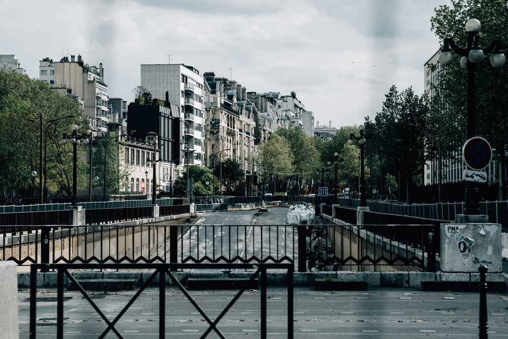 city street with trees viewed from a bridge