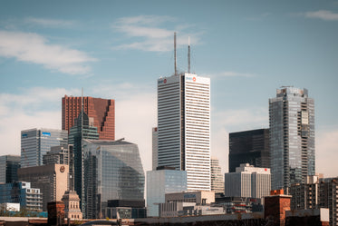 cityscape of tall buildings