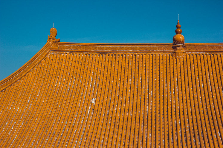 Clay Temple Rooftop