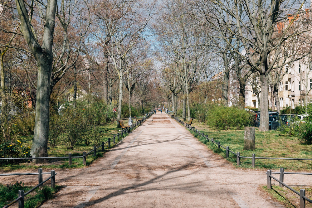 clean parks in spring time