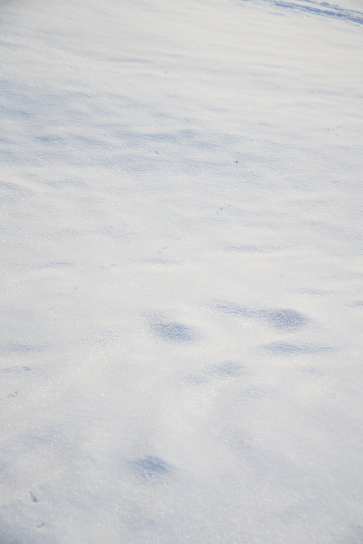 clean-white-snow-ground.jpg?width=746&format=pjpg&exif=0&iptc=0