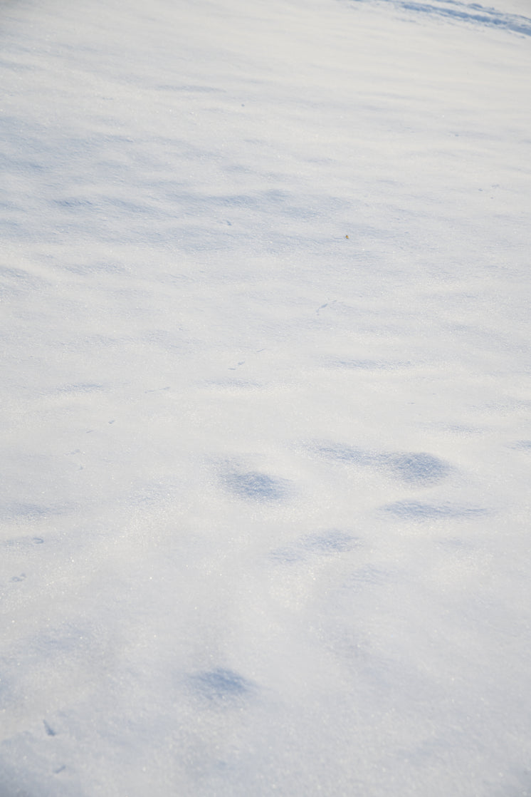 Clean White Snow Ground