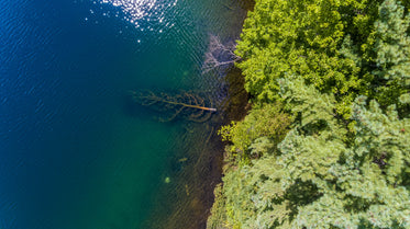 clear blue lake by forest