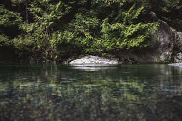 clear water & rocks