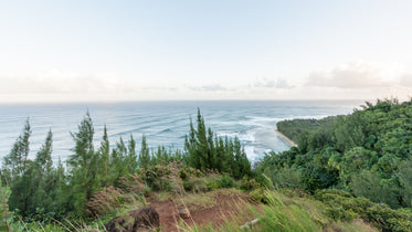 cliff-top view of sea