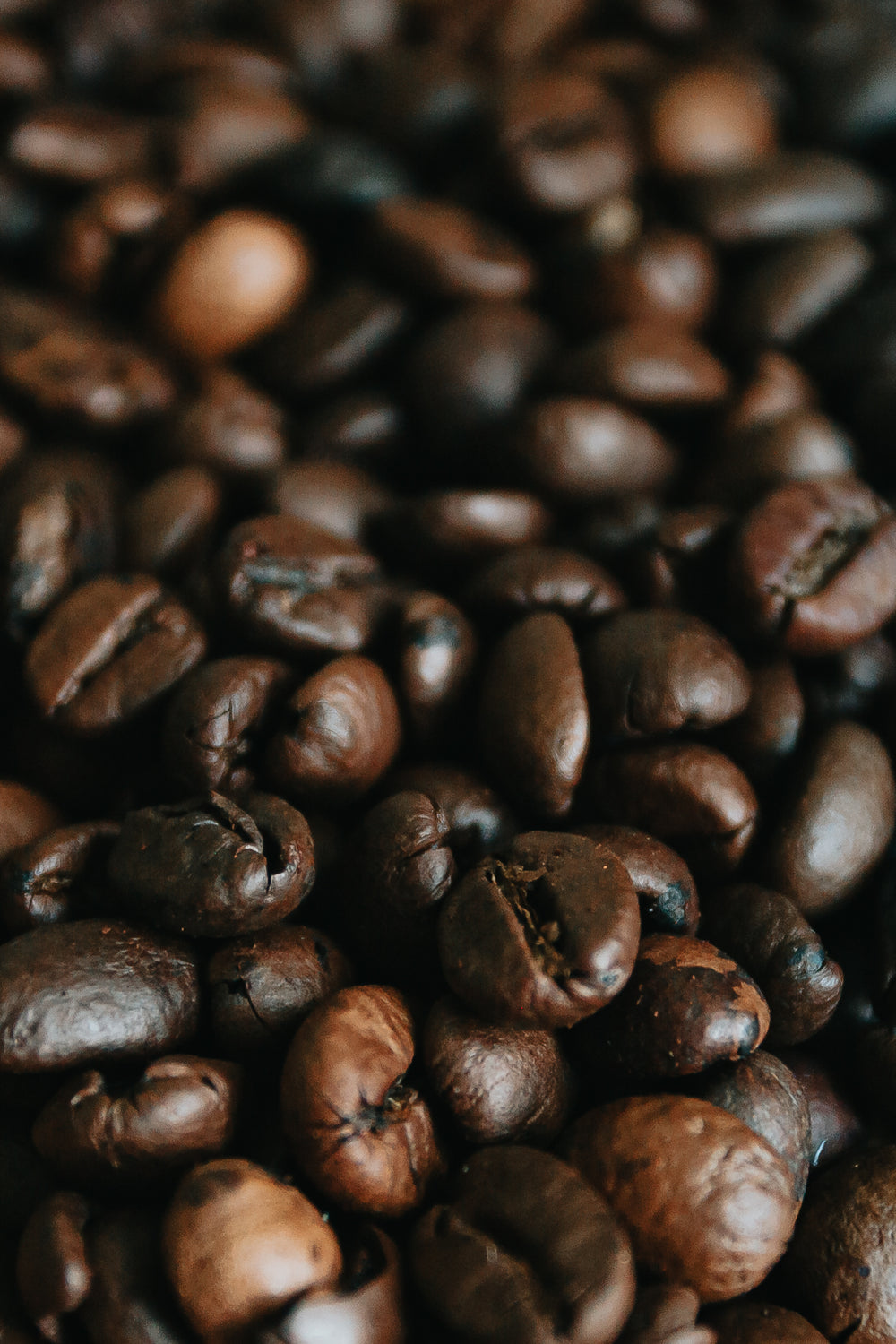 close up coffee bean texture