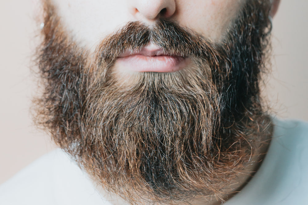 close up of a beard on the bottom of a persons face