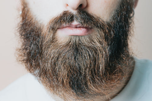 close up of a beard on the bottom of a persons face
