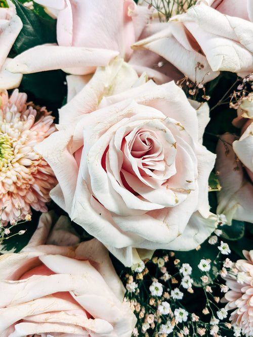 close up of a bouquet of soft pink roses