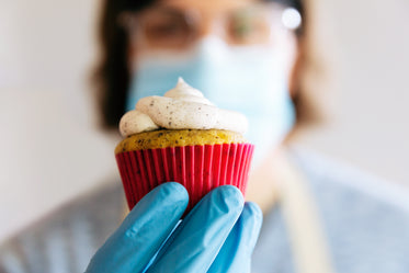 close up of a cupcake held with gloves