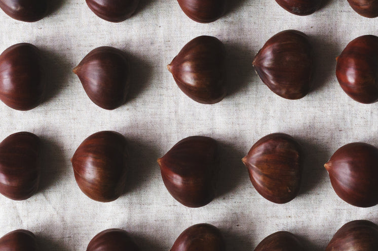close-up-of-chestnut-flatlay.jpg?width=746&format=pjpg&exif=0&iptc=0