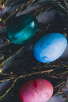 close up of dyed easter eggs on green needled branches
