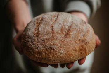 close up of fresh bread