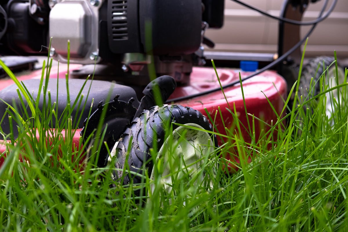close up of grass and mower