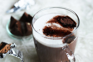 close up of hot chocolate with a sprinkle of cocoa and brownies