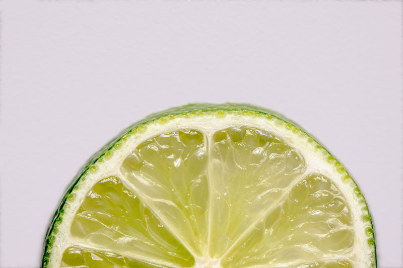 Canine Nutrition: Can Dogs Eat Lemons Safely? Discover if it's safe for your furry friend to munch on lemons. Can dogs eat lemons? Find out now!