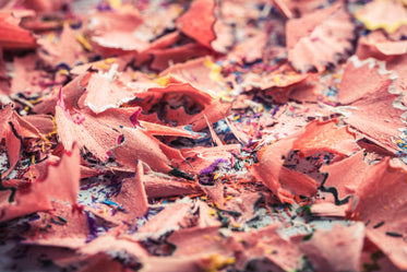 close up of pencil shavings