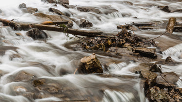 close up of riverbed