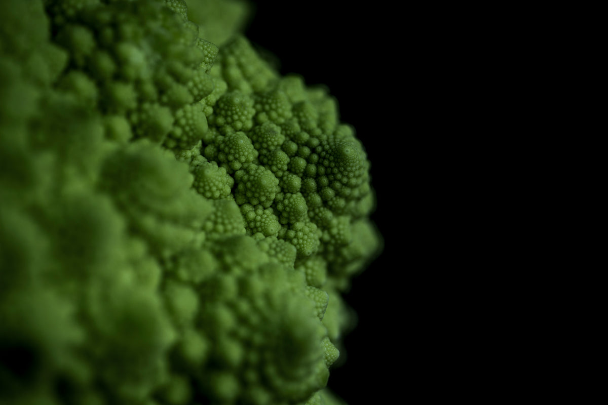 close up of the texture of romanesco broccoli