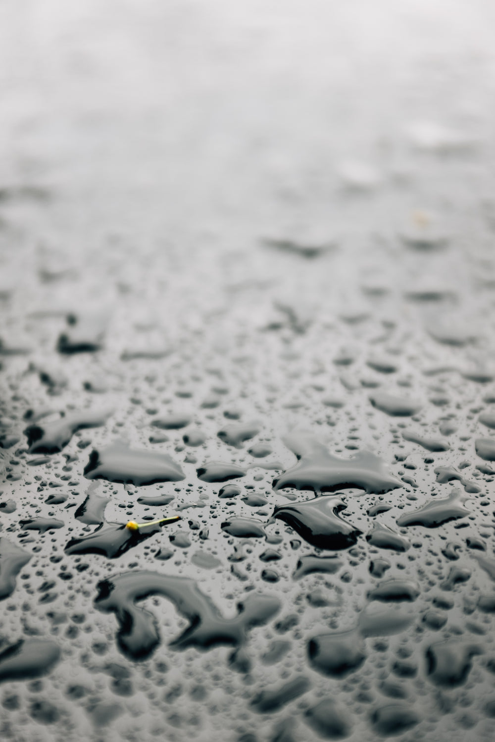 close up of water droplets on smooth surface