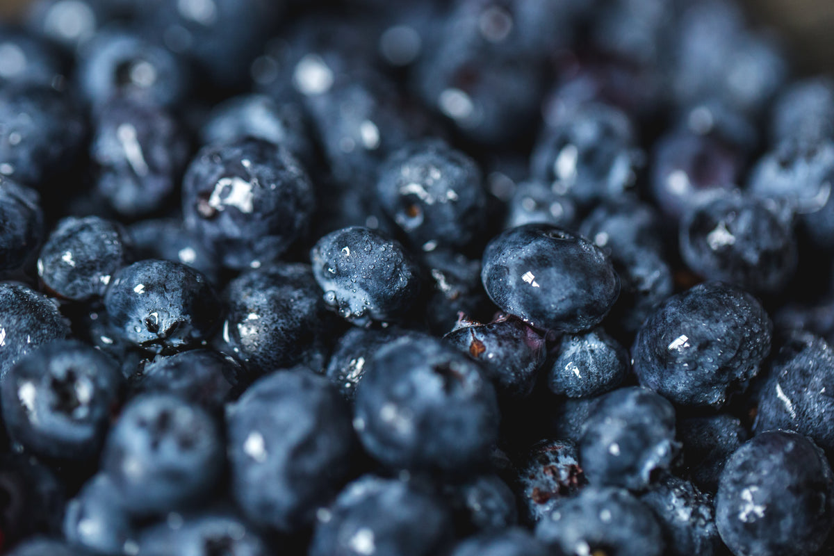 close up on freshly washed blueberries