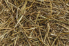 close up on hay texture