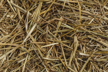 close up on hay texture