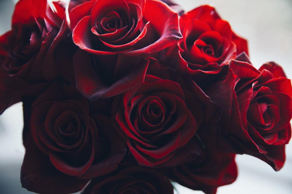 close up red rose bouquet