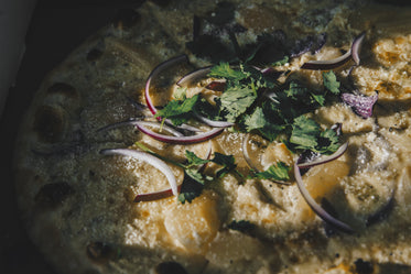 Free Close Up White Pizza Photo — High Res Pictures