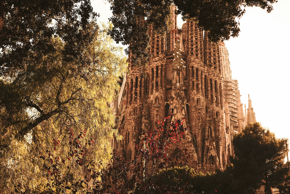 closeup of church ruins with trees